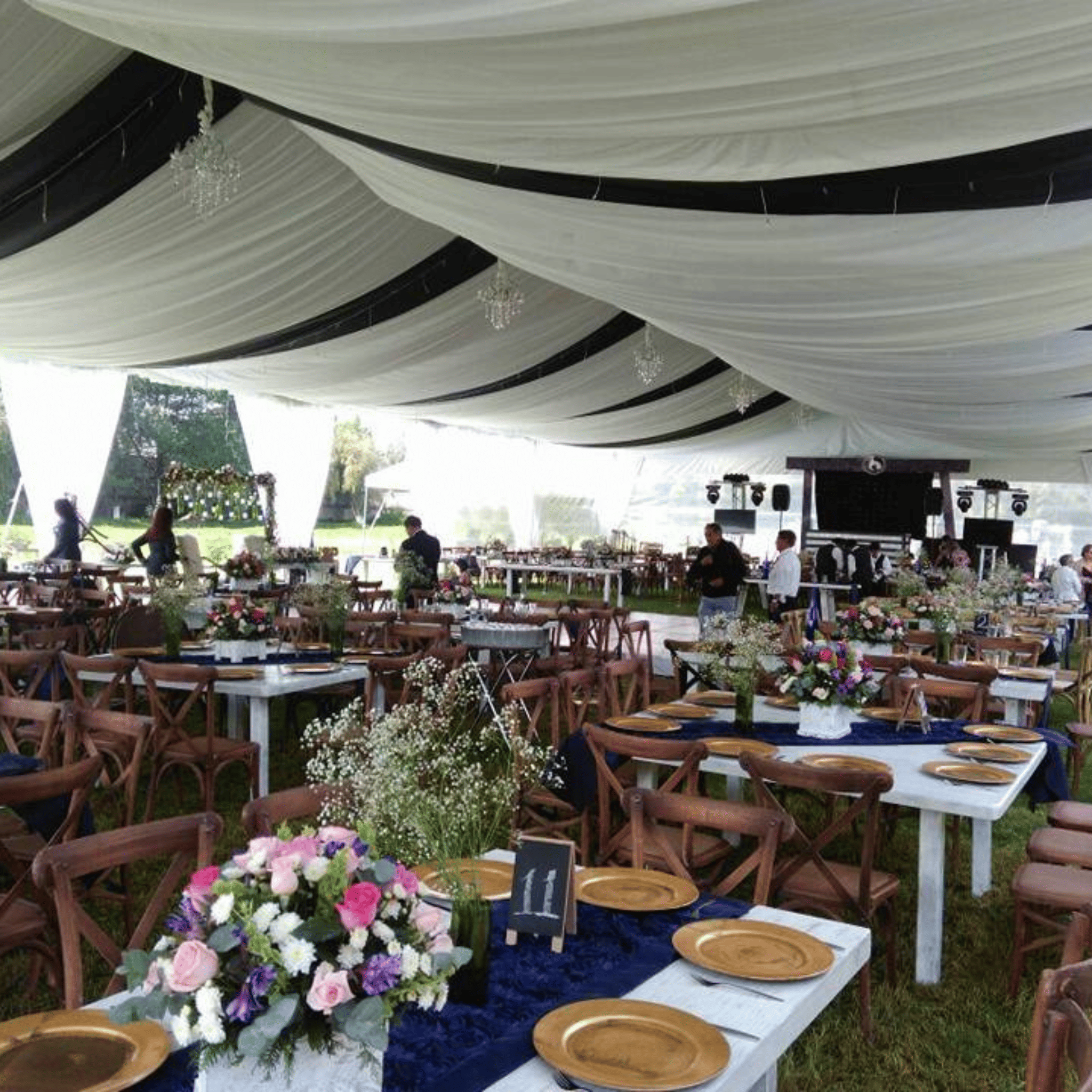 Imagen ilustrativa (2) del servicio Carpas y Domos